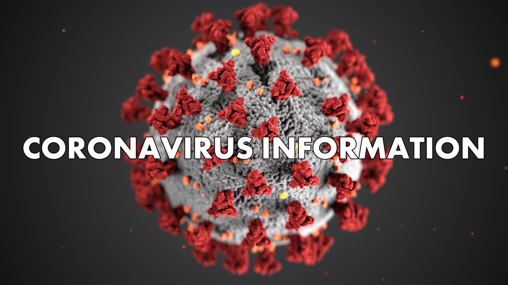 Corona Virus Information