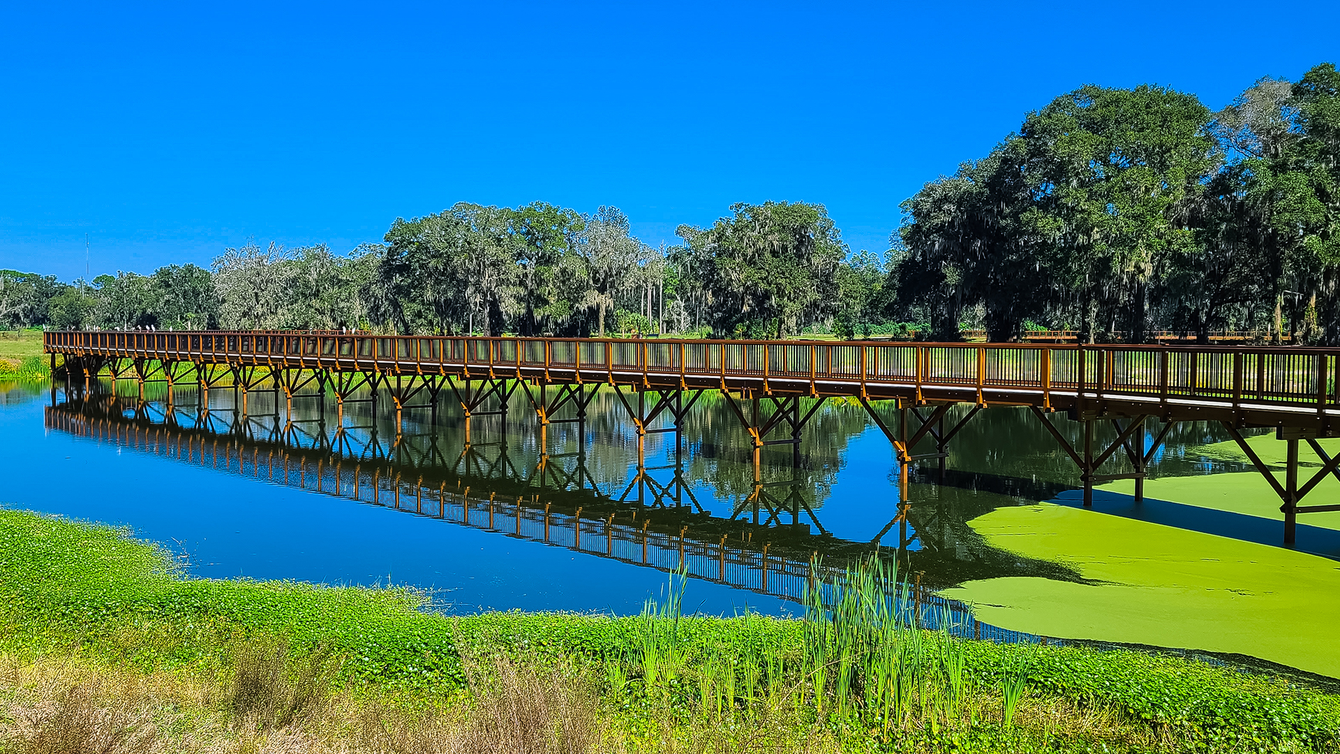 Water Bridge