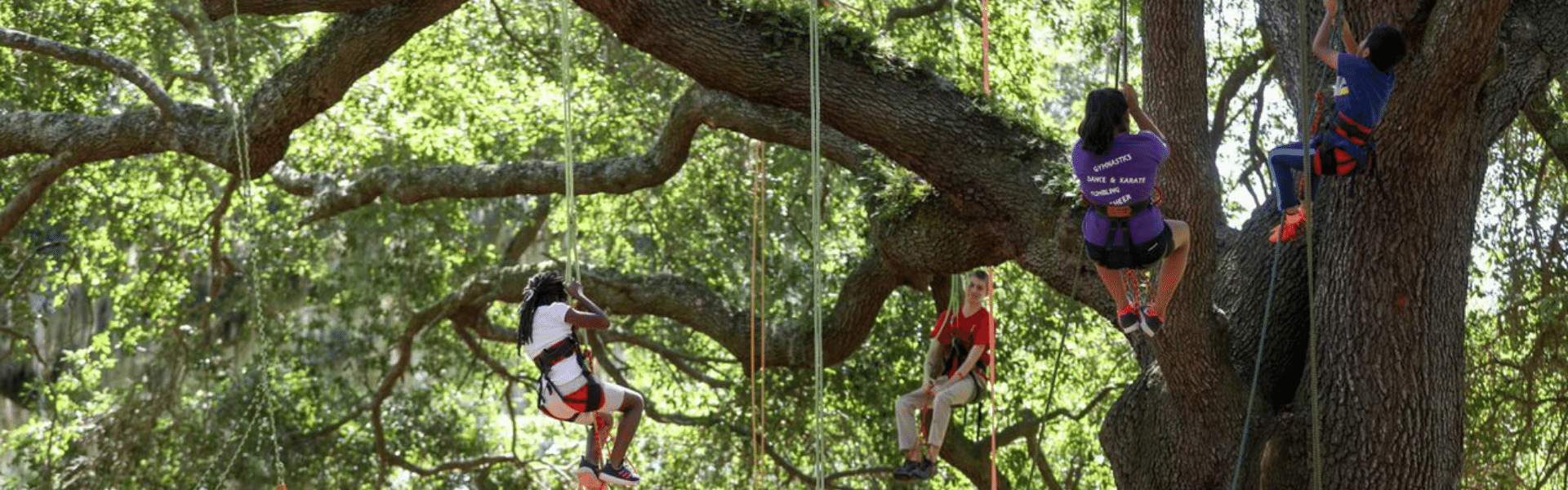 Earthfest Tree