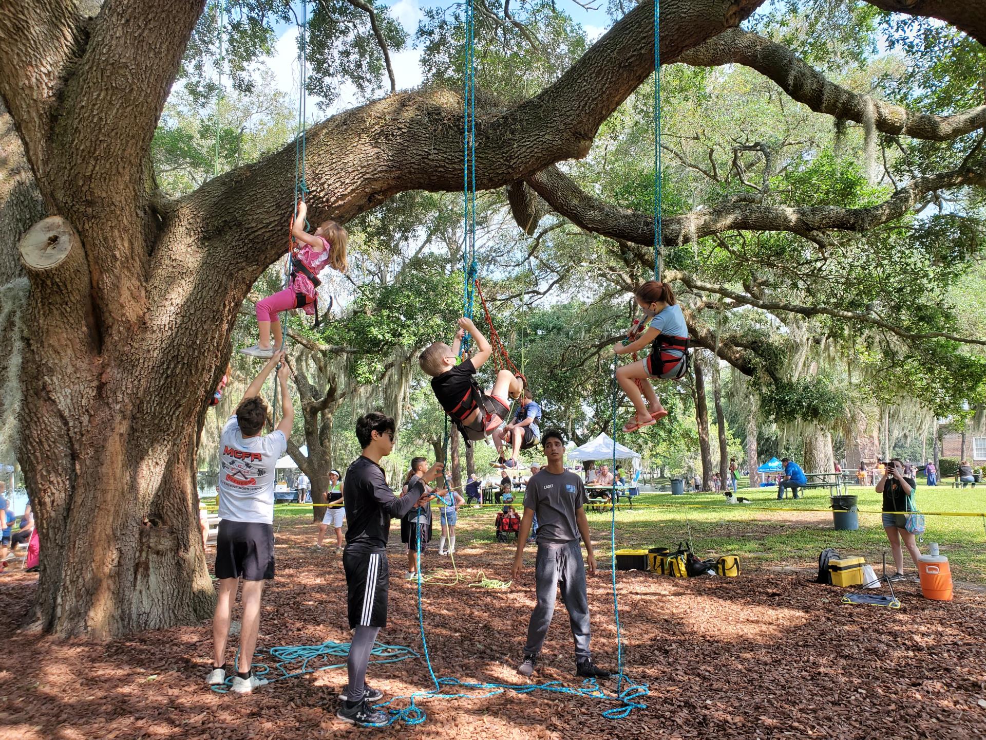 Tree Climbing