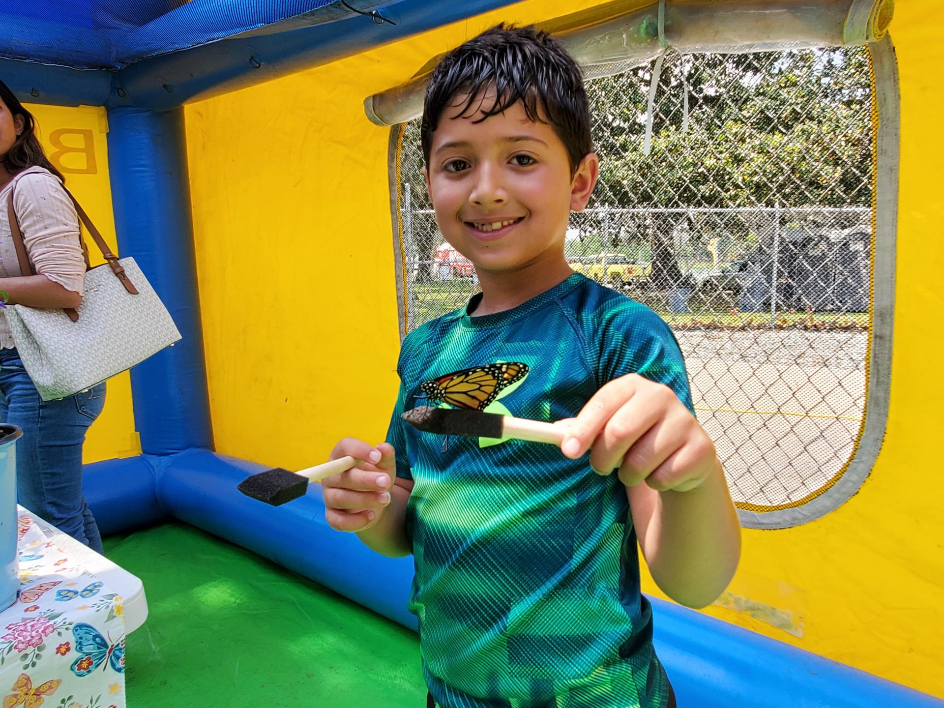 Feed Live Butterflies