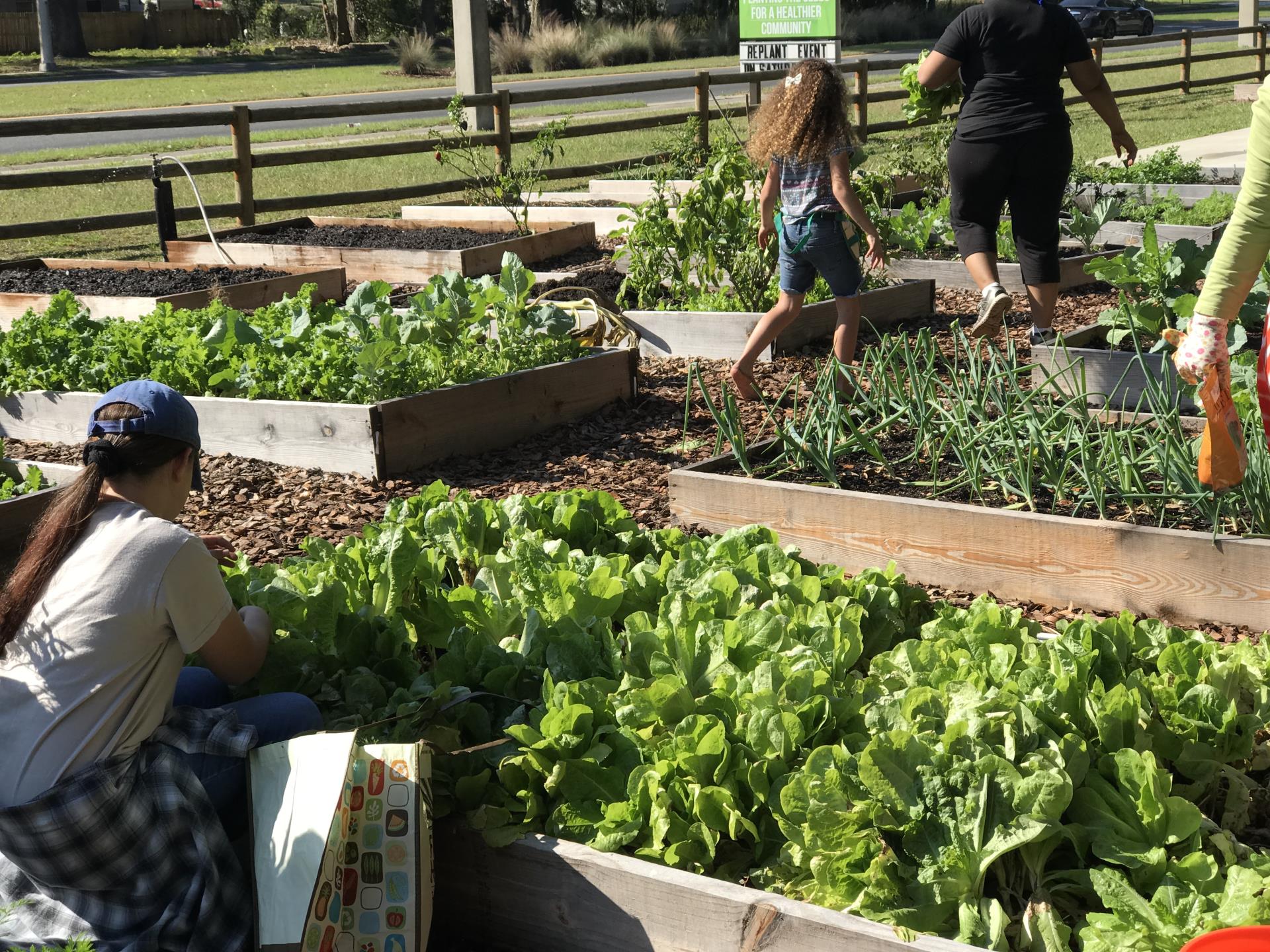 Community Garden