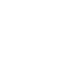 Wrench_Icon