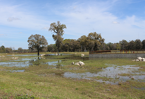 Ocala Wetland Recharge Park Cell 3